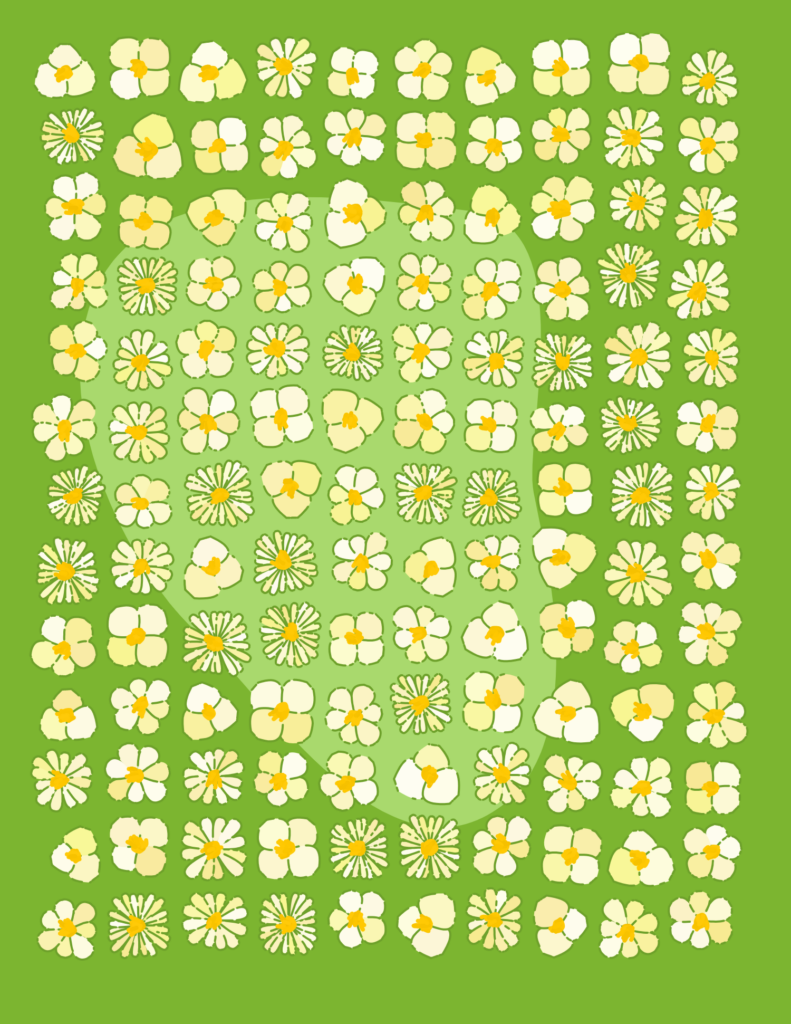 Generative flower series
